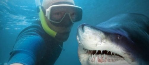 Selfies (Via animalpolitico.com)