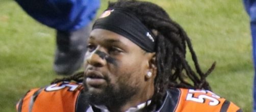 Vontaze Burfict [Image by Jeffrey Beall|Wikimedia Commons| Cropped | CC BY-3.0 ]