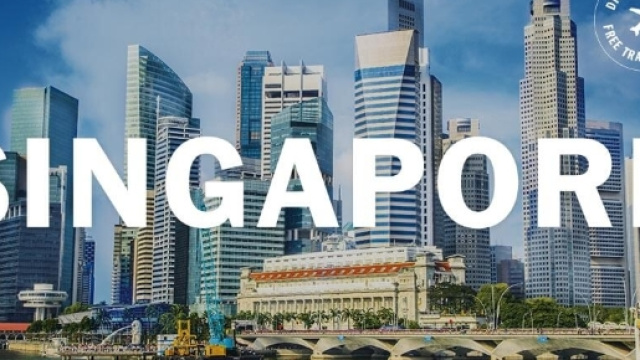 Duty Free Singapore, particolare della citt&agrave; - dfs.com