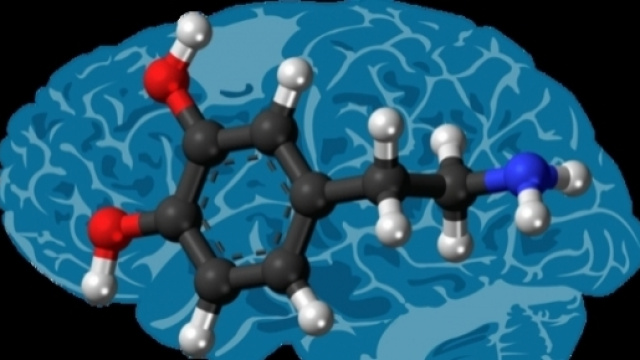 La dopamina, il neurotrasmettitore carente nel Parkinson (https://goo.gl/SfCp5z)