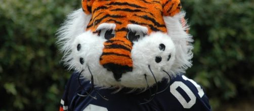 The orange mascots are pumped. JGlover via Wikimedia Commons