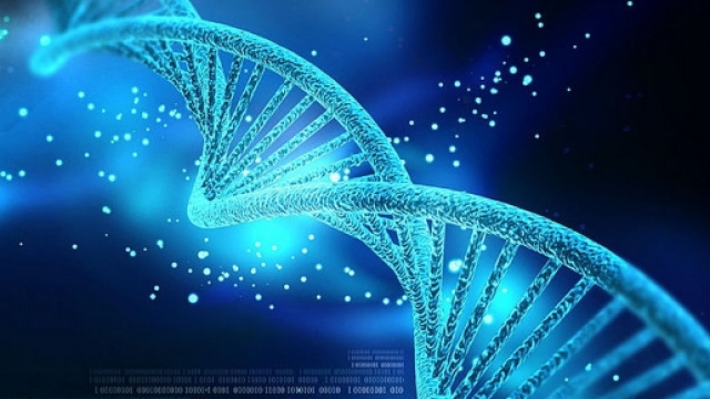 Sette cose che potremo fare con Crispr - Wired - wired.it