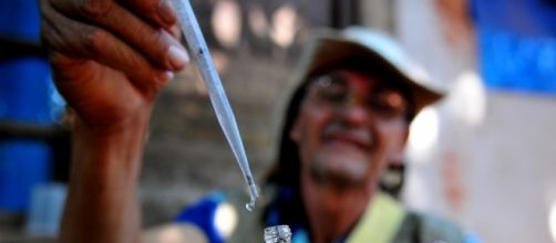 New research suggests that the Zika virus could potentially counter brain cancer/Ag&ecirc;ncia Bras&iacute;lia, Flickr