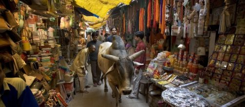 Cultura &eacute; tudo aquilo que resulta da cria&ccedil;&atilde;o humana