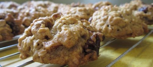 Free photo: Oatmeal Raisin Cookies - Free Image on Pixabay - 1511599 - pixabay.com