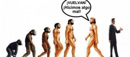 Gr&aacute;fico de la involuci&oacute;n del Homo Sapiens