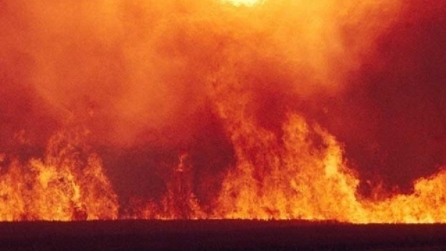 Apocalypse: Controversies and Meaning in Western History - thegreatcourses.com