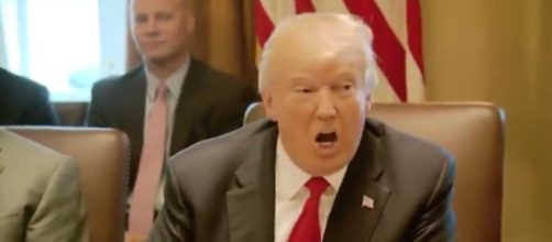 Donald Trump at the White House, via Twitter