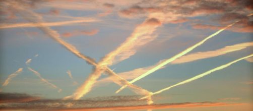 Las fumigaciones contienen elementos qu&iacute;micos nocivios. Public Domain.