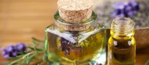 Propiedades del aceite de rosa mosqueta que no conoc&iacute;as