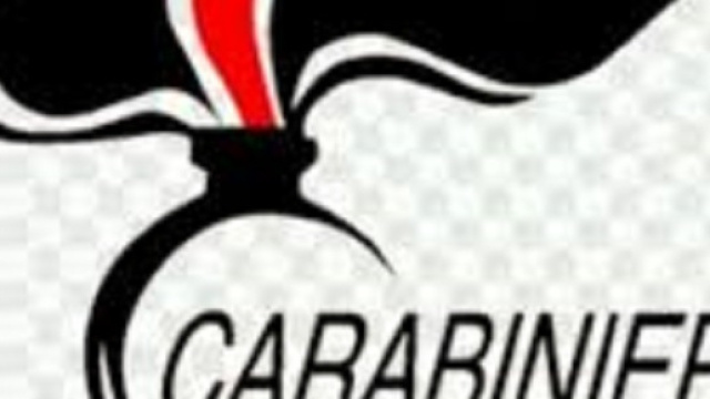 Concorso Arma dei Carabinieri: domanda a febbraio 2018