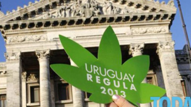 Marijuana libera in Uruguay: meno di un dollaro al grammo, si ... - today.it