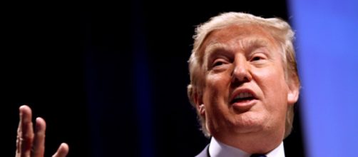 Donald Trump. - [Image Credit: Gage Skidmore / Flickr]