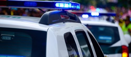 Several siblings rescued from house of horrors/Photo via Diego Parra/Pixabay