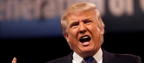 Donald Trump - Image credit - Gage Skidmore | Flickr