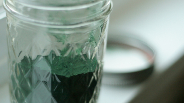 Spirulina: ha effetti benefici, ma attenti alla provenienza.