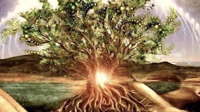 Imbolc 2018: prepararsi alla rinascita