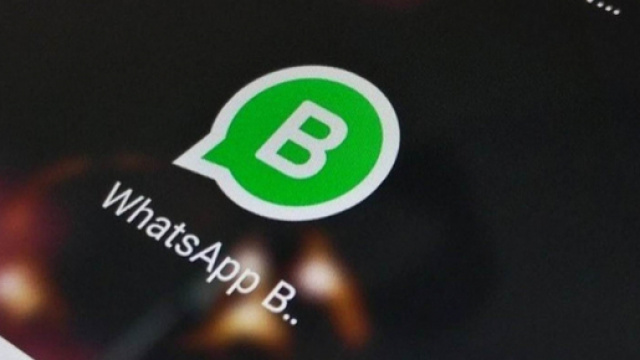 WhatsApp Business sar&agrave; un'app indipendente da WhatsApp Messenger (fonte foto https://static.toiimg.com)
