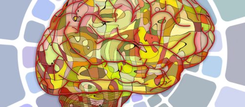 5 Ways To Improve Your Memory. [Image via Pixabay]