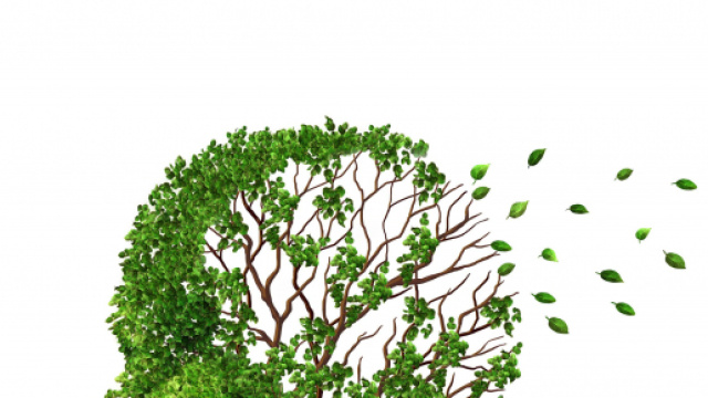 Alzheimer la memoria che ci abbandona