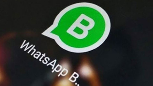Whatsapp Business: l'app destinata alle aziende, ecco come funziona