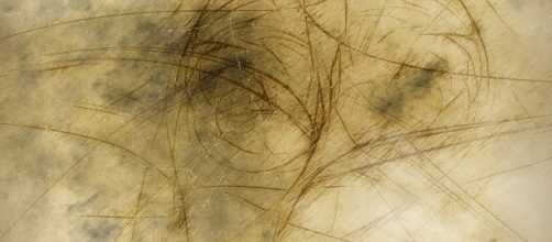 Aesthetics is the culmination, not the art world. (Image via Geralt/Pixabay)