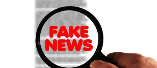 Trump declared what he feels were the most untrue things reported about him this past year[ Image via geralt Pixabay]