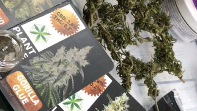 Diverse qualit&agrave; di marijuana liberamente in commercio