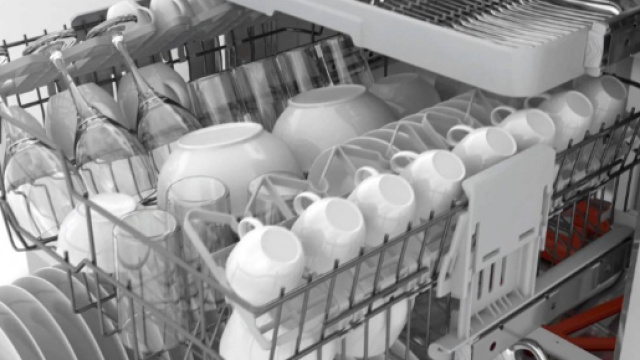 Funghi e batteri intasano le lavastoviglie: ecco cosa fare per ridurre i rischi alla salute