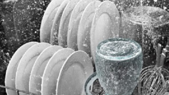 Funghi e batteri pericolosi nella lavastoviglie: come pulire