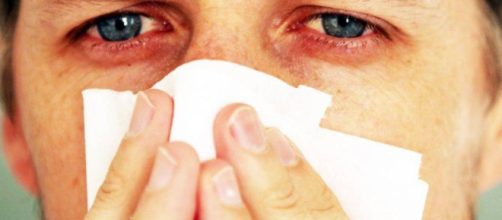 Alergias: De los wearables a los transg&eacute;nicos: tecnolog&iacute;a para ... - elconfidencial.com