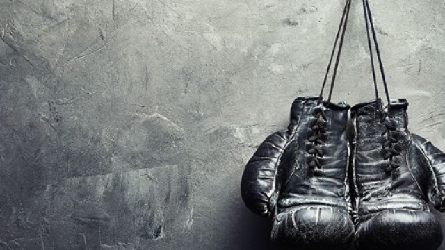 Gala de Boxe Anglaise &agrave; Flers - Suisse Normande Sports - suisse-normande-sports.fr