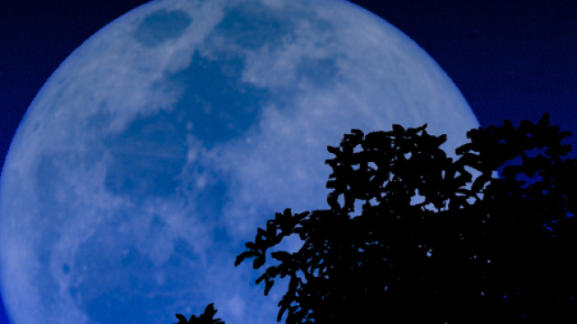 Luna blu nel cielo il 31 gennaio 2018