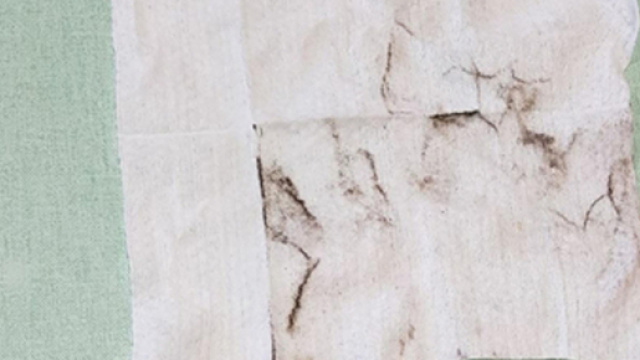 Taranto, bambini puliscono il banco e trovano una brutta sorpresa