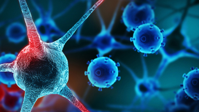 Tumori: test del sangue ne sveler&agrave; otto