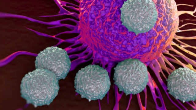 Cancro: cos&igrave; si mette un freno alle cellule tumorali - Panorama - panorama.it