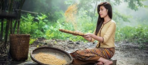 Freedom is the first word before love and justice. ( Image via sasint Pixabay)