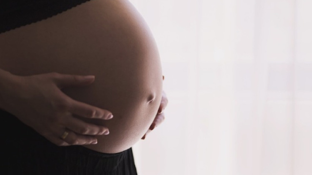 Svezia,un' App contraccettiva provoca ben 37 gravidanze indesiderate