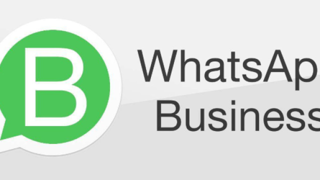WhatsApp Business, tutte le funzionalit&agrave;