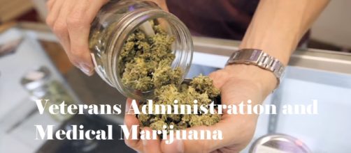 Five Things Medical Marijuana Won't Tell You (Image Cr: Wall Street Journal- YouTube Cap)