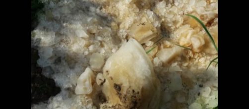 Villagers believed the clump of ice found in a field was a meteorite but it was anything but. [Image credit: United News International/YouTube]