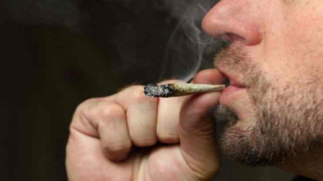 Cannabis : La France veut all&eacute;ger les sanctions pour les consommateurs