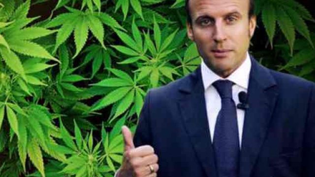 D&eacute;p&eacute;nalisation du cannabis : Emmanuel macron retourne sa veste