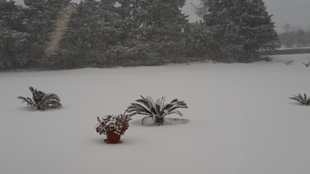 Il paesaggio salentino innevato lo scorso anno.