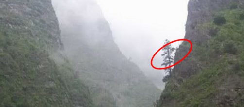 Barranco - Badajoz &ndash; Tenerife: Espa&ntilde;a