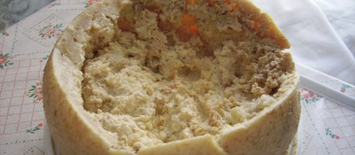Casu marzu cheese via commons.wikimedia.com
