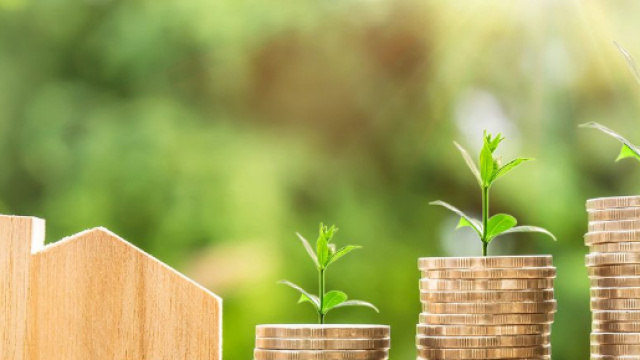 Bonus Verde 2018: la guida per capire chi pu&ograve; usufruirne