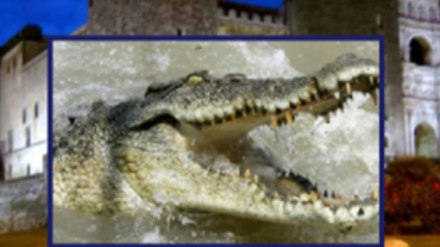 La leggenda del coccodrillo del Maschio Angioino