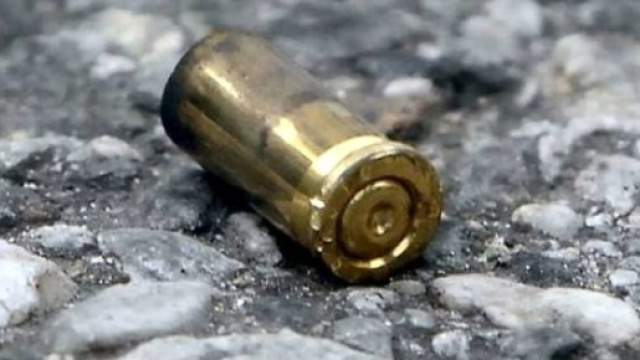 Tre colpi al volto, Annamaria Palmieri &egrave; stata uccisa come un boss