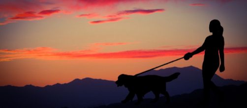 A future platform. (Image mohammed_hassan/Pixabay)